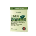 อี จี ซี จี แมกซ์ กิฟฟารีน